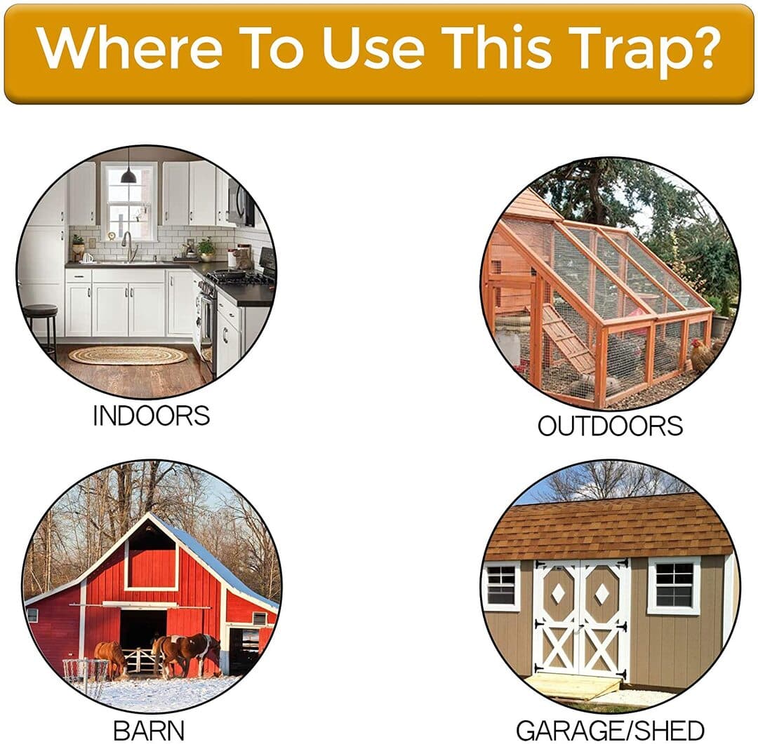 BUCKET LID MOUSE TRAP
