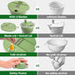 3-in-1 Salad Spinner, Vegetable Washer & Chopper