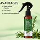 Rosemary Rice Water Hair Spray